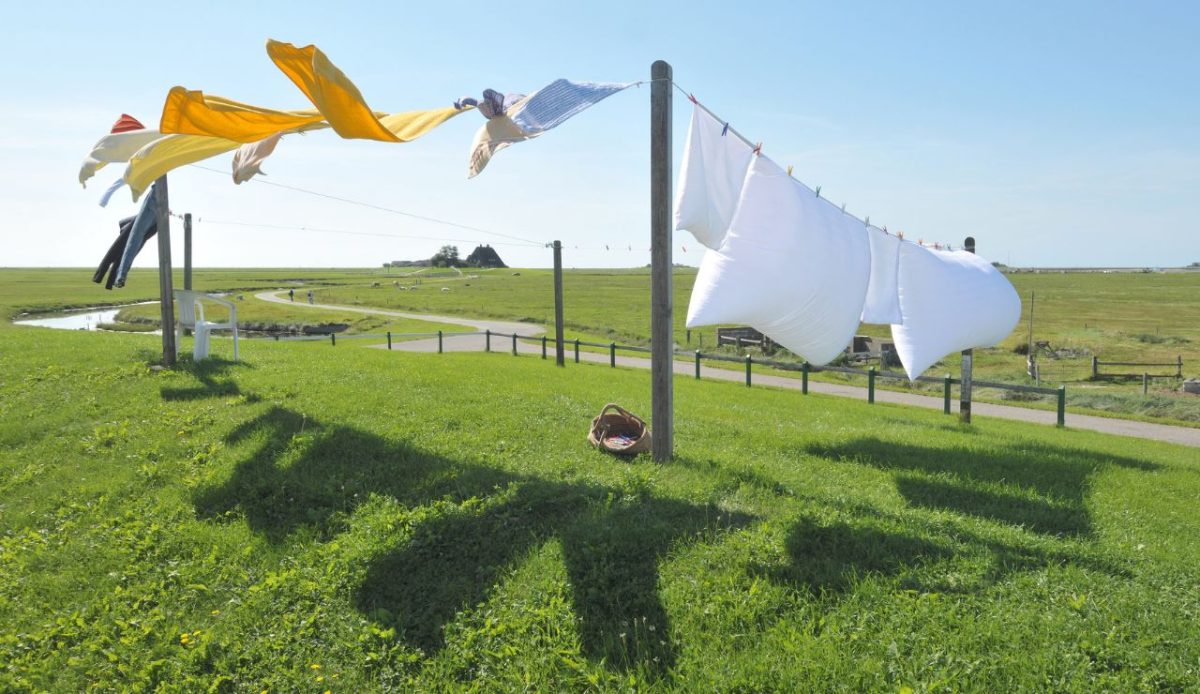 15 Overlooked Camping Essentials That Make Trips Easier 10 Quick-Dry Clothesline
