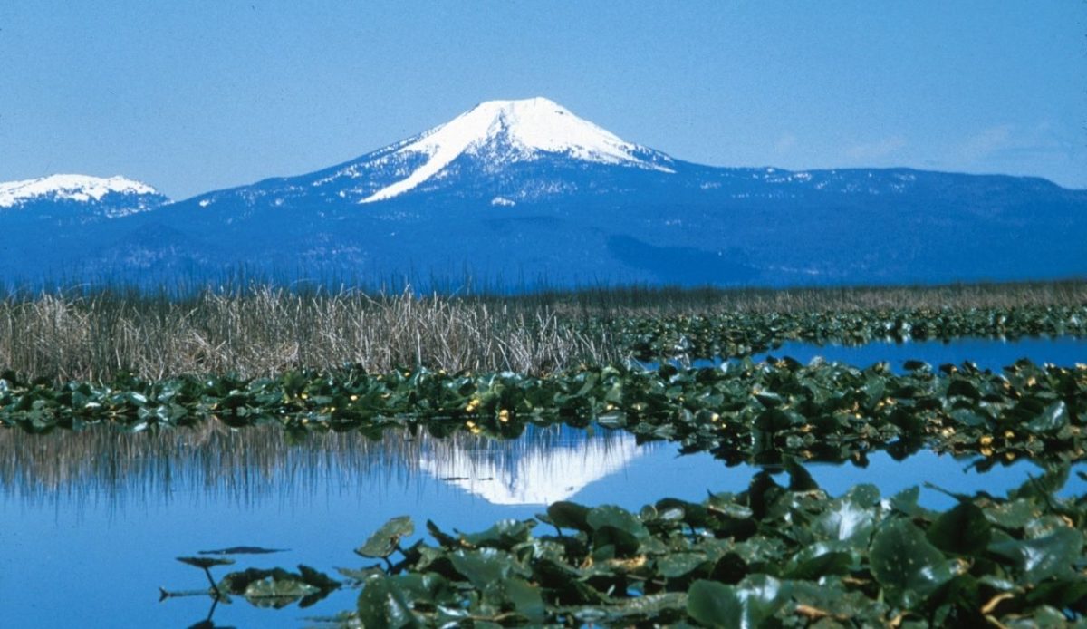 Upper Klamath National Wildlife Refuge, near Klamath Falls, Oregon, United States