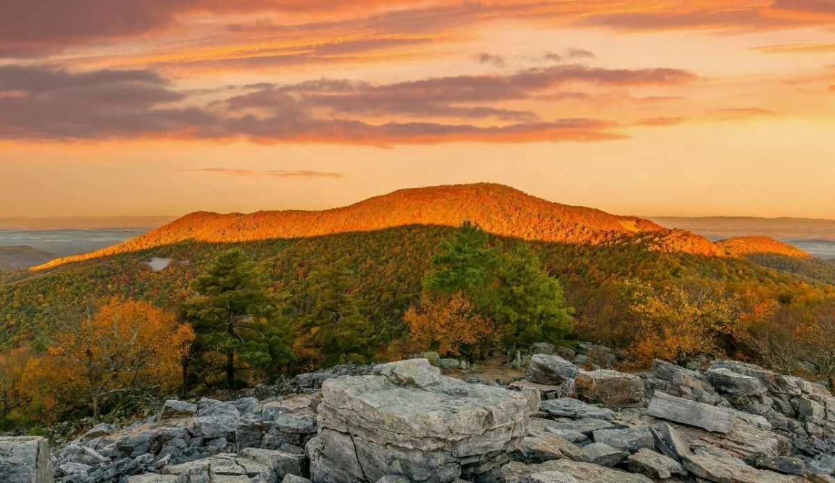 Vibrant fall foliage on Blackrock Summit    Shenandoah National Park, Virginia, USA    