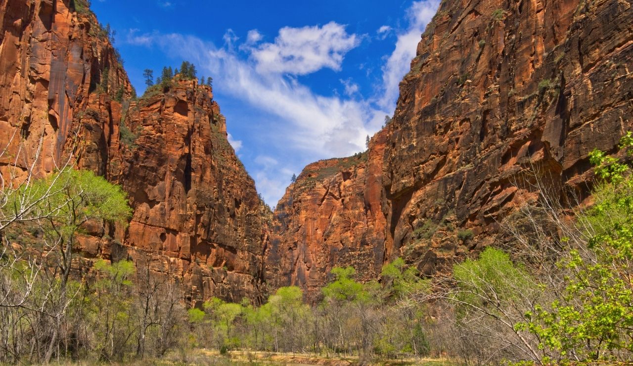 Rappeller Dies In Zion National Park’s Pine Creek Canyon - Foto 7