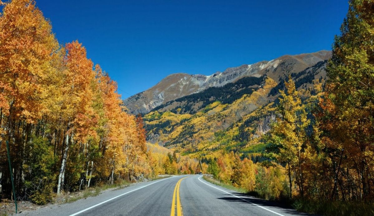 Vivid fall colors on the Million-Dollar Highway between Ouray and Silverton in San Juan County, Colorado 