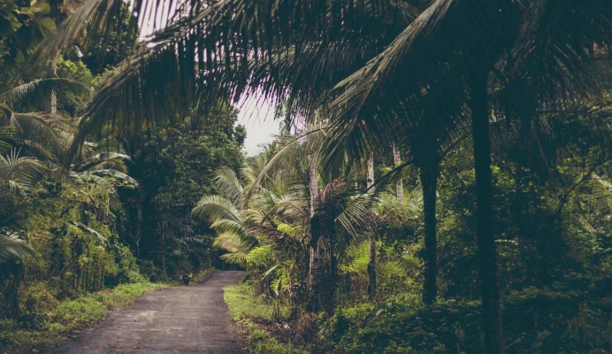 12 Southeast Asian Islands To Visit Before They’re Overrun 5 Wakatobi, South East Sulawesi, Indonesia