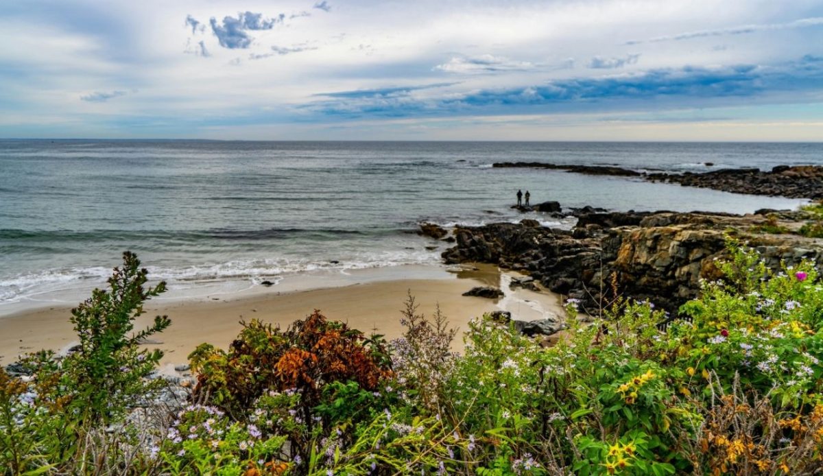 8 Peaceful Northeast Beach Towns to Visit and 4 Better Skipped 1 Wildflowers along a rocky beach with people fishing, Ogunquit, Maine, USA