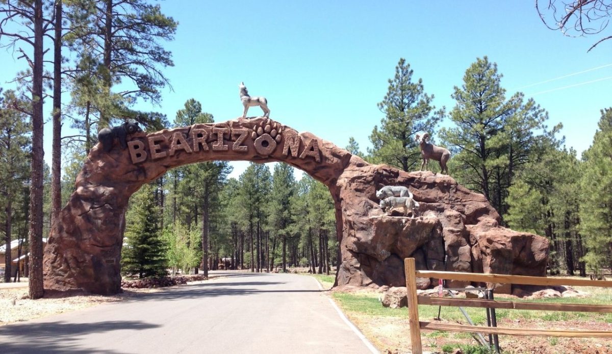 11 Best Stops Between Las Vegas And The Grand Canyon 10 bearizona Arizona animal park