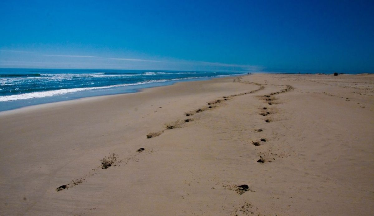 10 East Coast States With Sunsets You’ll Never Forget 8 footprints along sandy shore at Assateague Island, Maryland