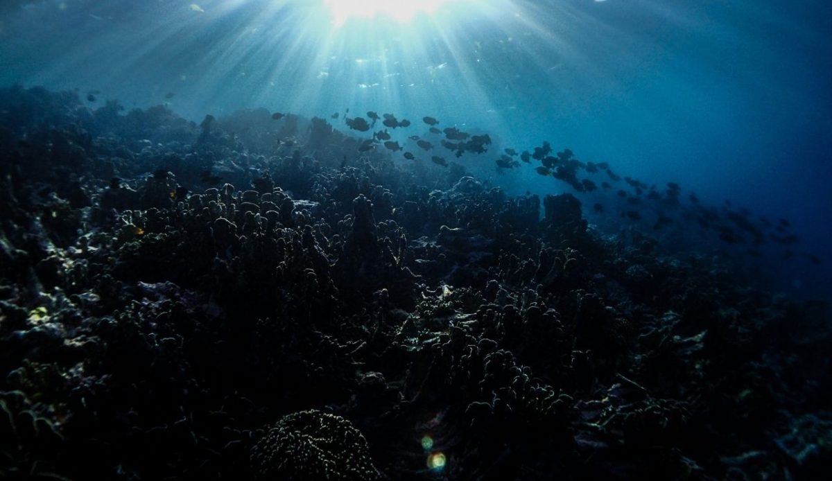 8 Stunning Destinations in Indonesia That Go Beyond Bali 7 Wakatobi, South East Sulawesi, Indonesia