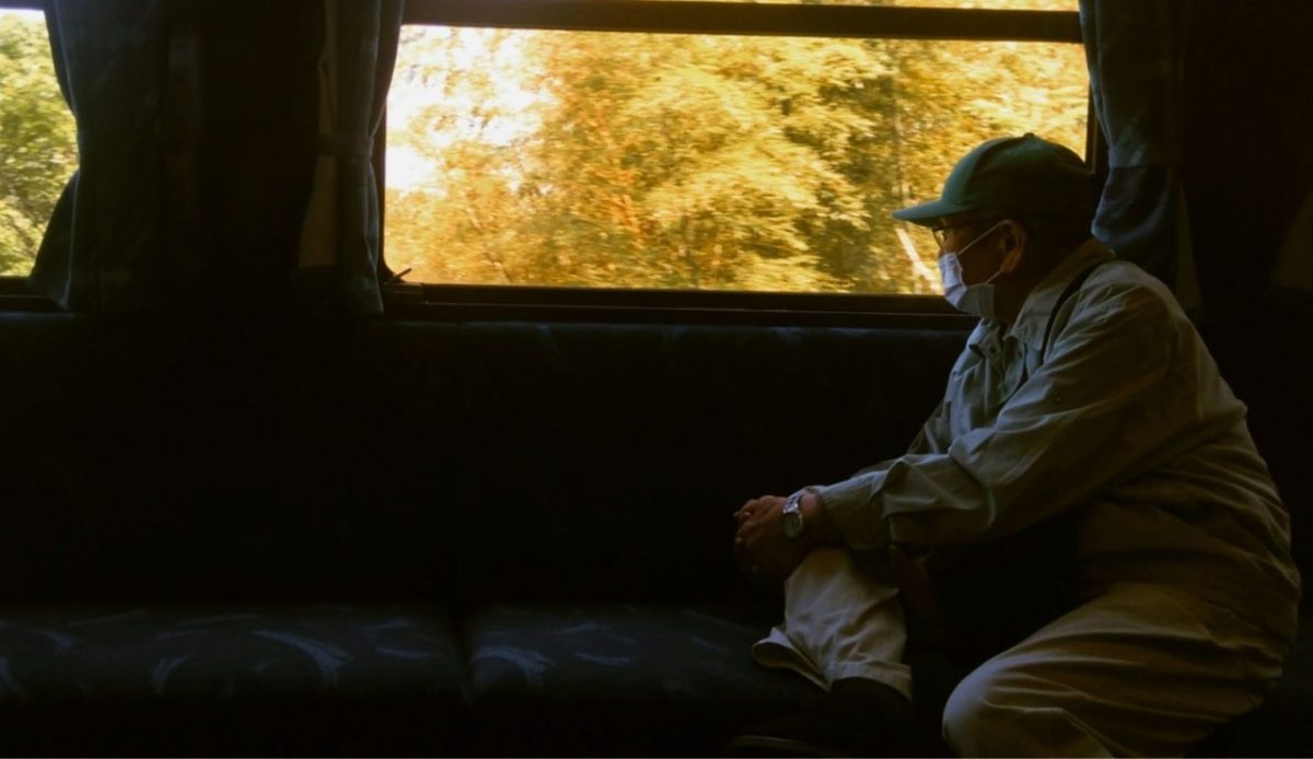 Elderly man wearing a mask gazing out the train window at autumn trees, Vermont, USA
