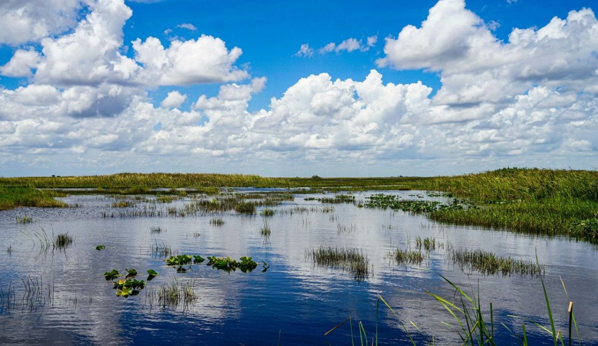 Everglades National Park, Florida