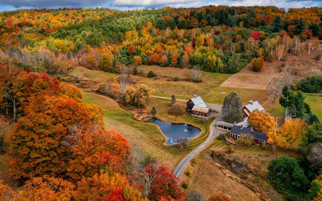 10 Must-See Nature Spots Across Vermont Worth the Trip