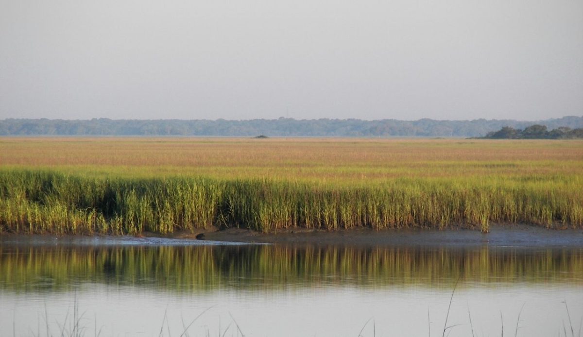10 East Coast States With Sunsets You’ll Never Forget 2 salt marsh view at Hunting Island State Park