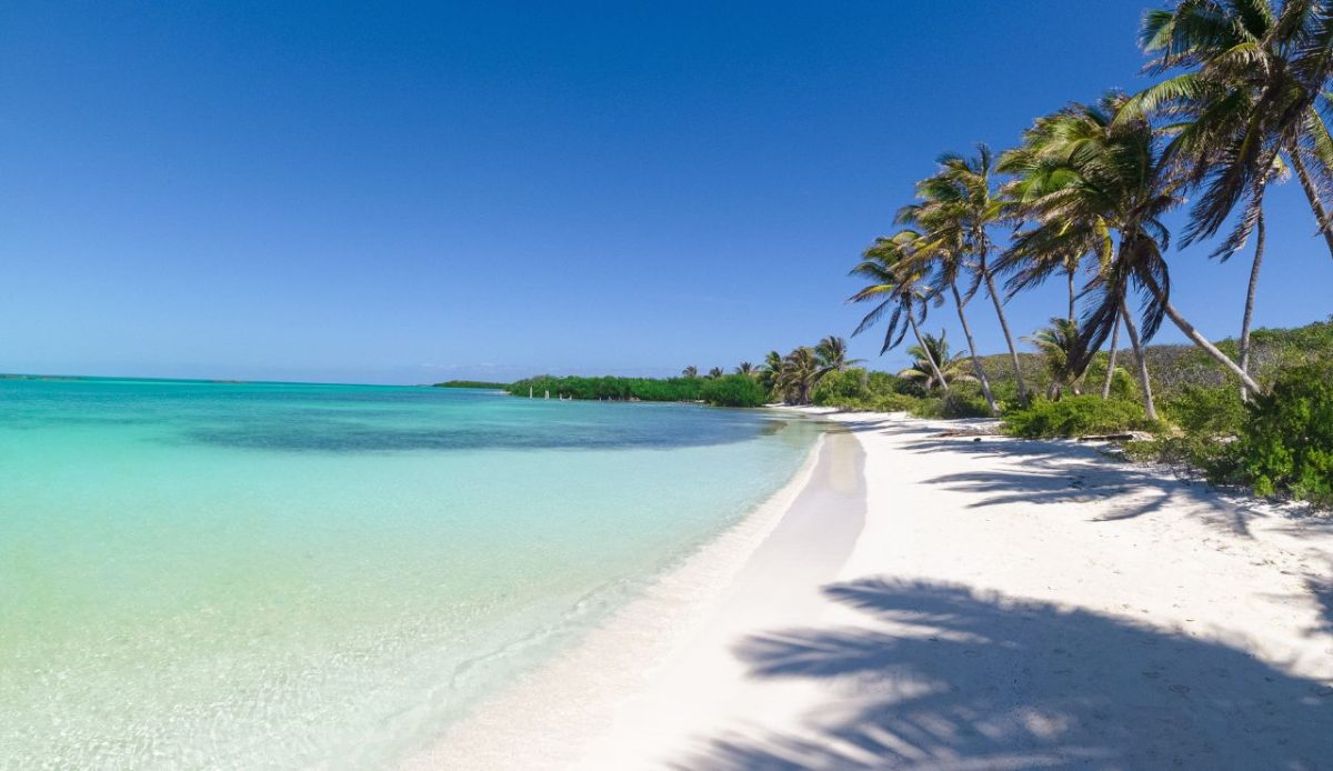 15 Best Things to Do in Isla Mujeres Beyond the Beach 10 Take a Day Trip to Isla Contoy