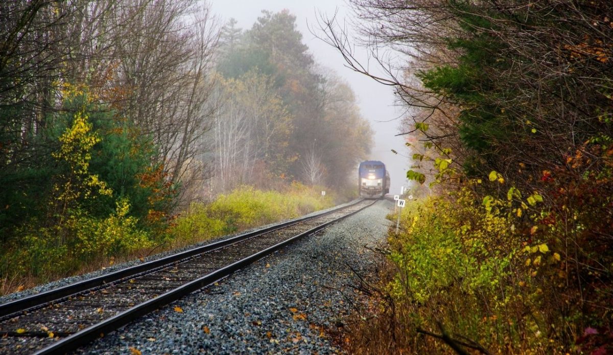 Amtrak train approaching through misty autumn woods, Vermont, USA