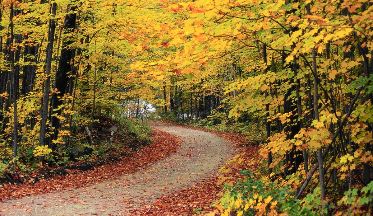 Green Mountain National Forest