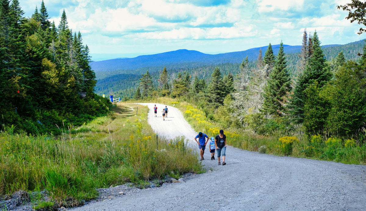 National Park Road Trip              