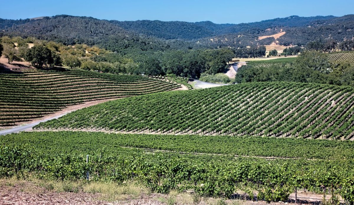 Brecon Estate, Paso Robles