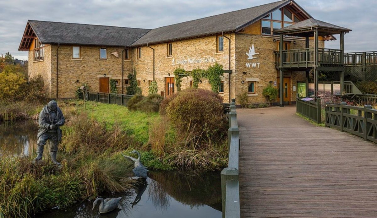 Entrance to the London Wetland Centre 