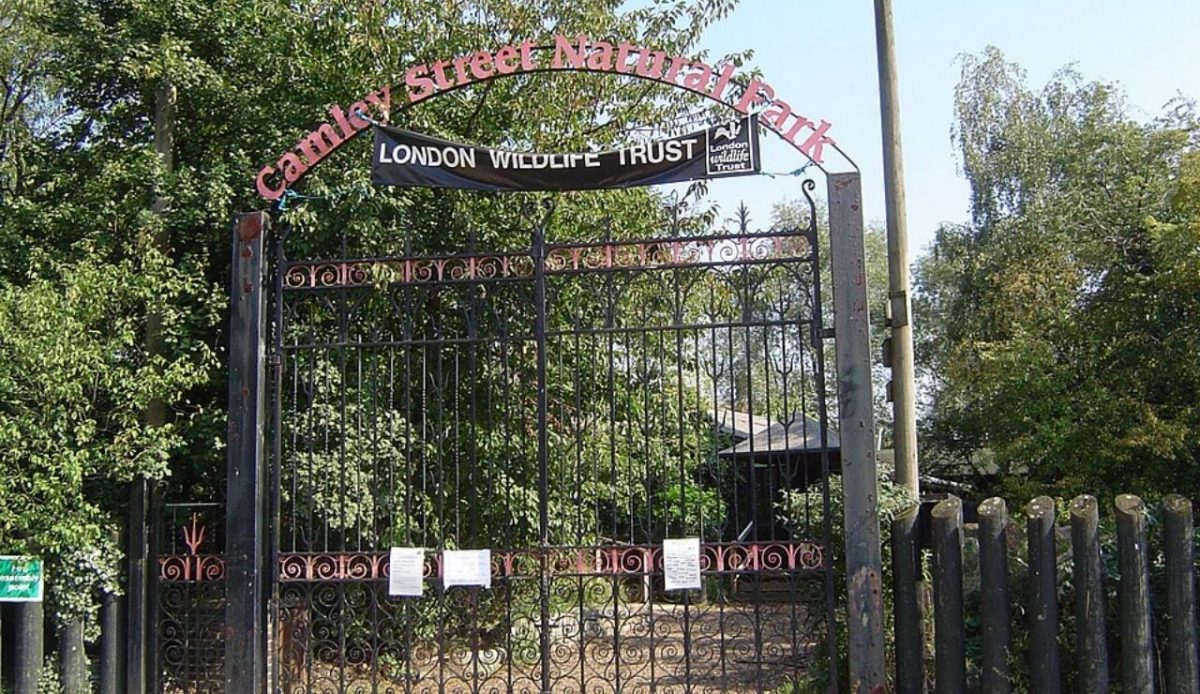 Camley Street Natural Park 