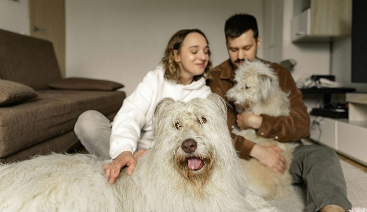 A Couple Sitting on the Carpet with Their Dogs      
