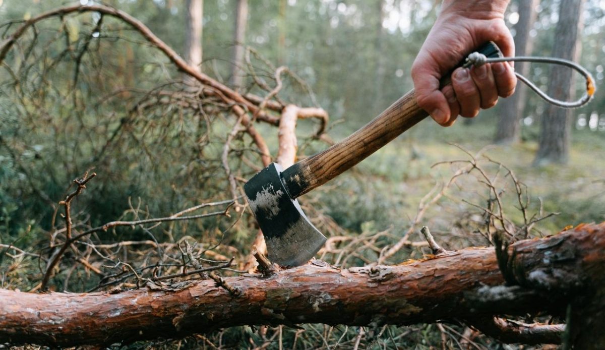 A Person Cutting a Tree Log using Axe            