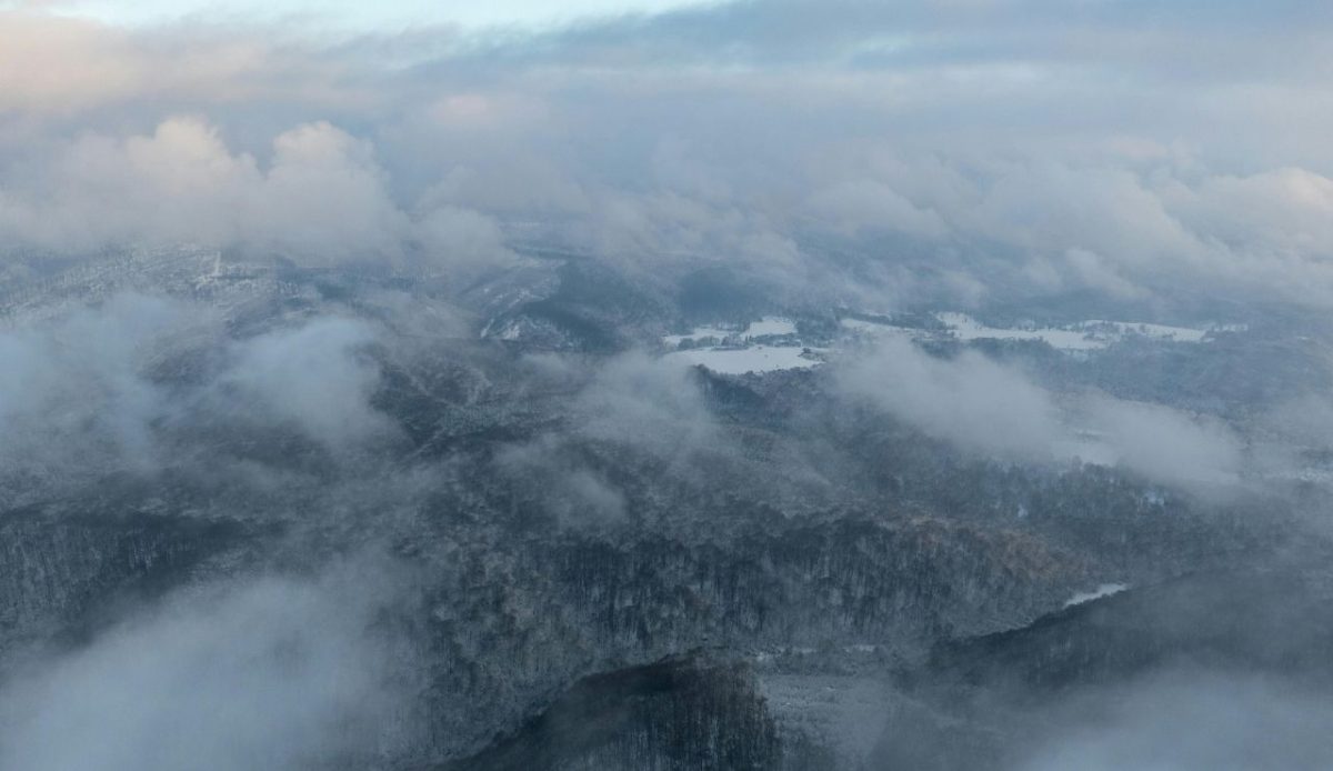 Aerial View of Misty Winter Forest Landscape in Daruvar, Bjelovarsko-bilogorska županija, Hrvatska                                   