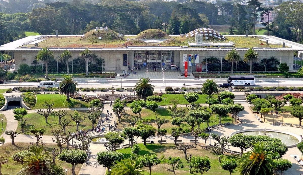 California Academy of Sciences         