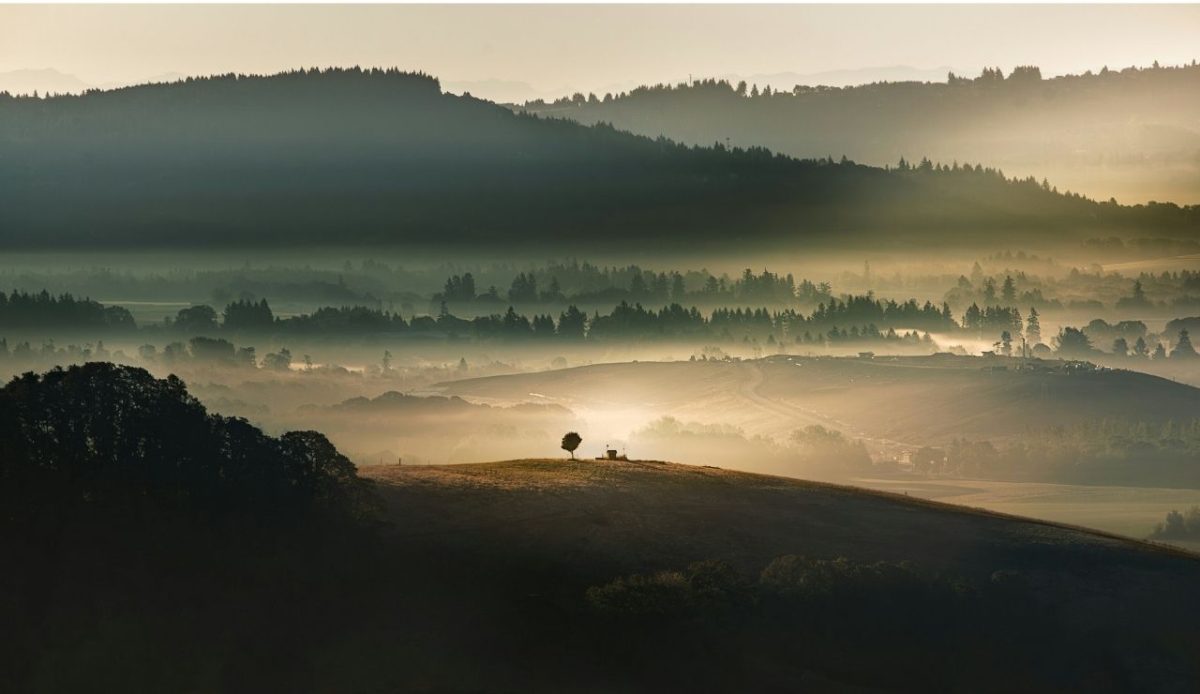 McMinnville, Oregon, United States                     