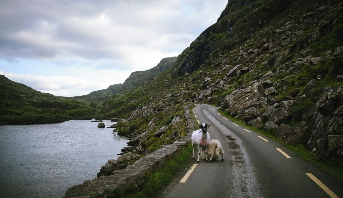 Gap of Dunloe, Dunloe Upper, County Kerry, Ireland                      