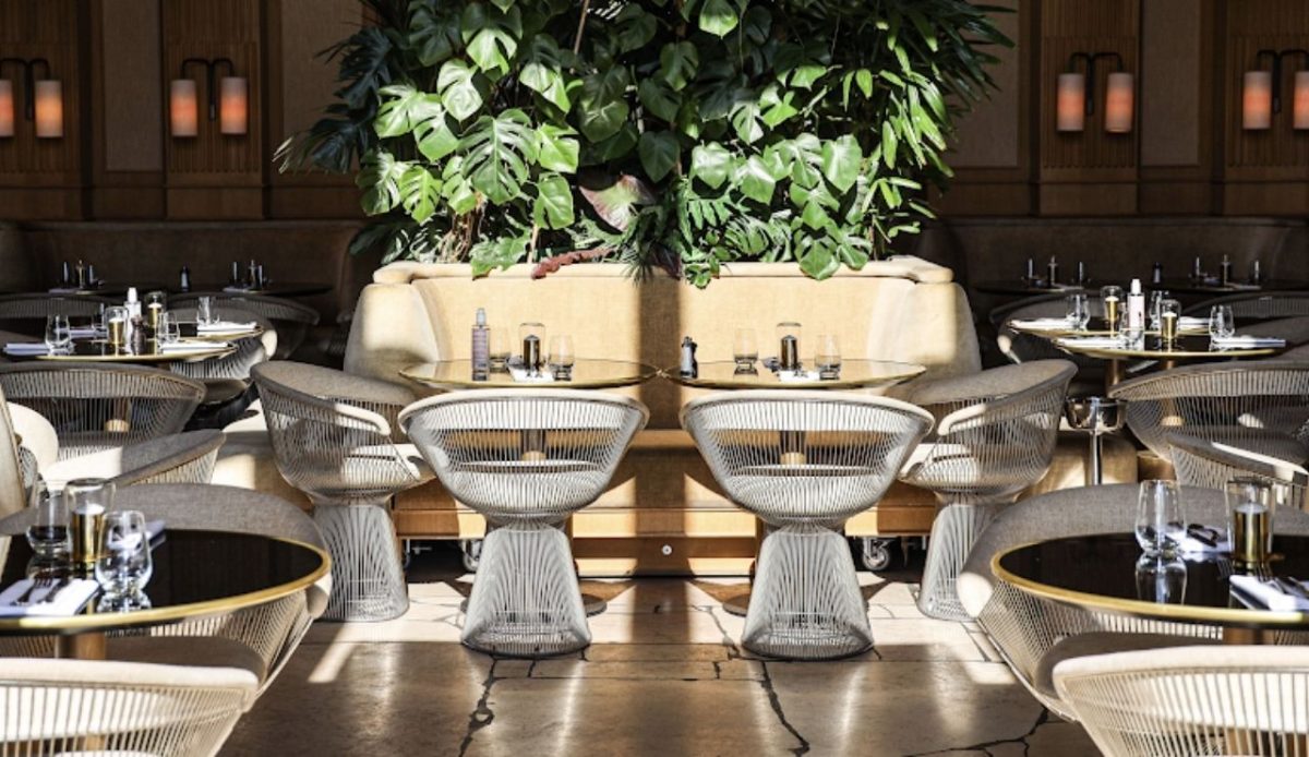 Girafe in Paris, France                         