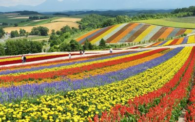 10 Detour Destinations Travelers Will Be Flocking to in 2026