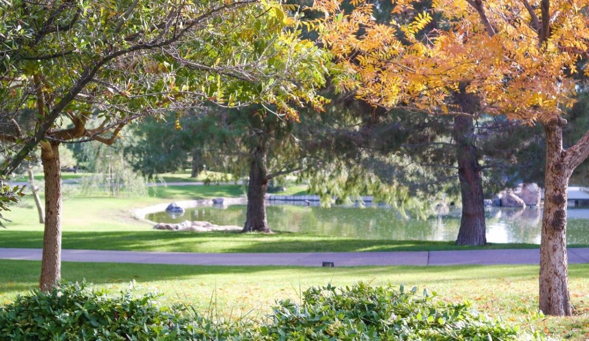 Japanese Friendship Garden of Phoenix                            