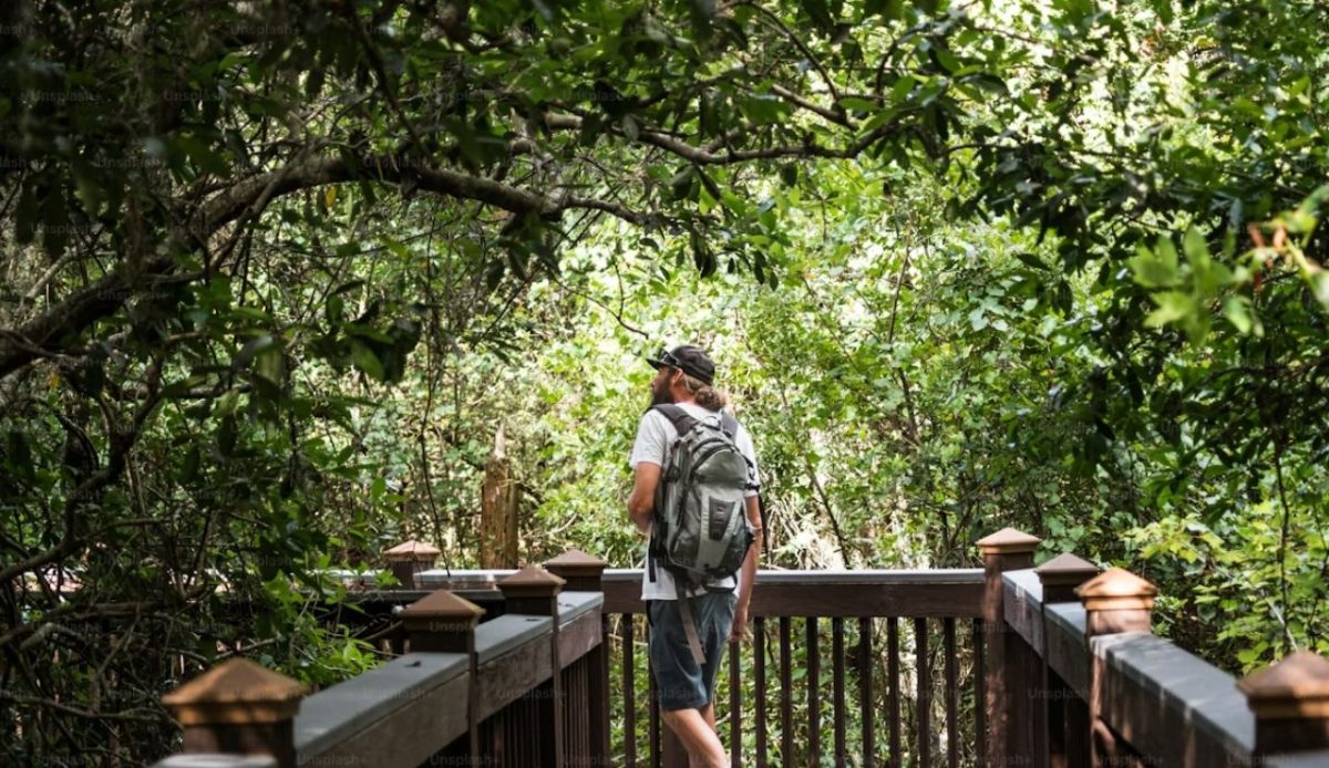Jungle ATV and Ziplines                     