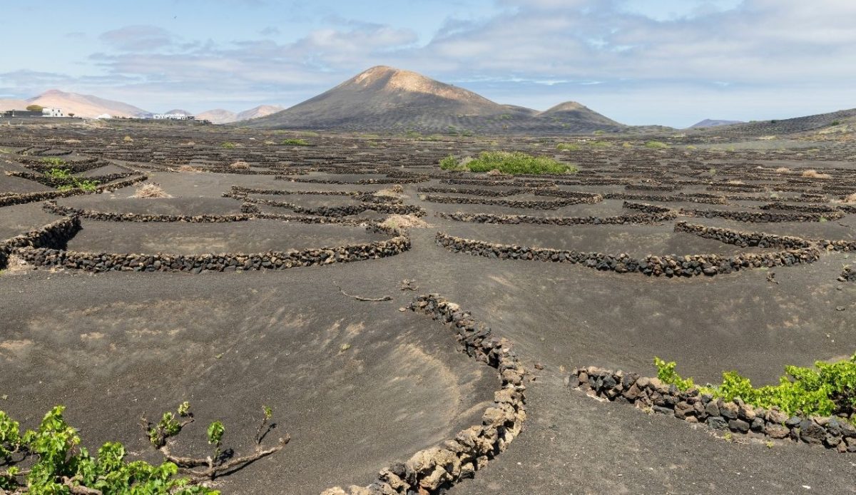 La Geria vineyards,Lanzarote,Canary Islands,Spain          