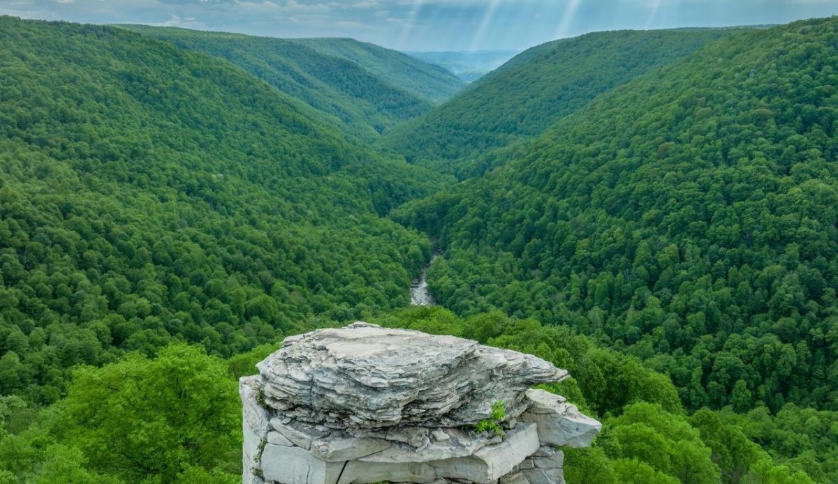 Lindy Point Overlook in Blackwater Falls State Park, Sutton, West virginia      
