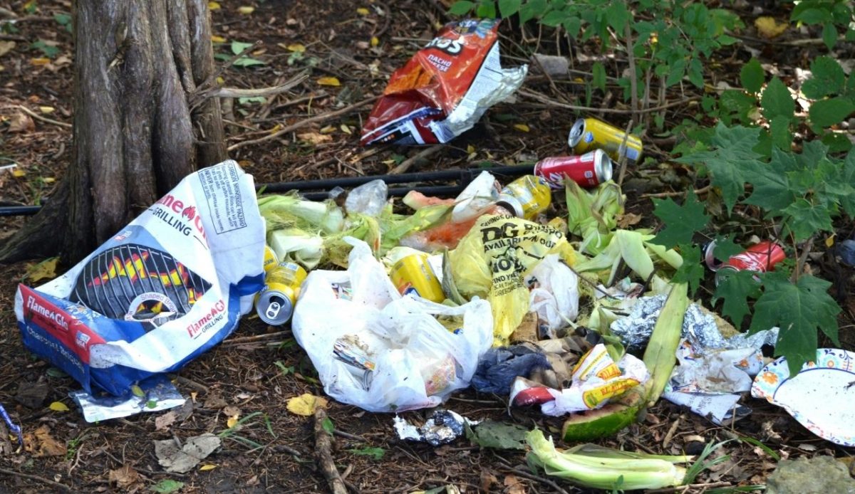 Litter and food waste scattered on forest ground near tree roots in jungle park 