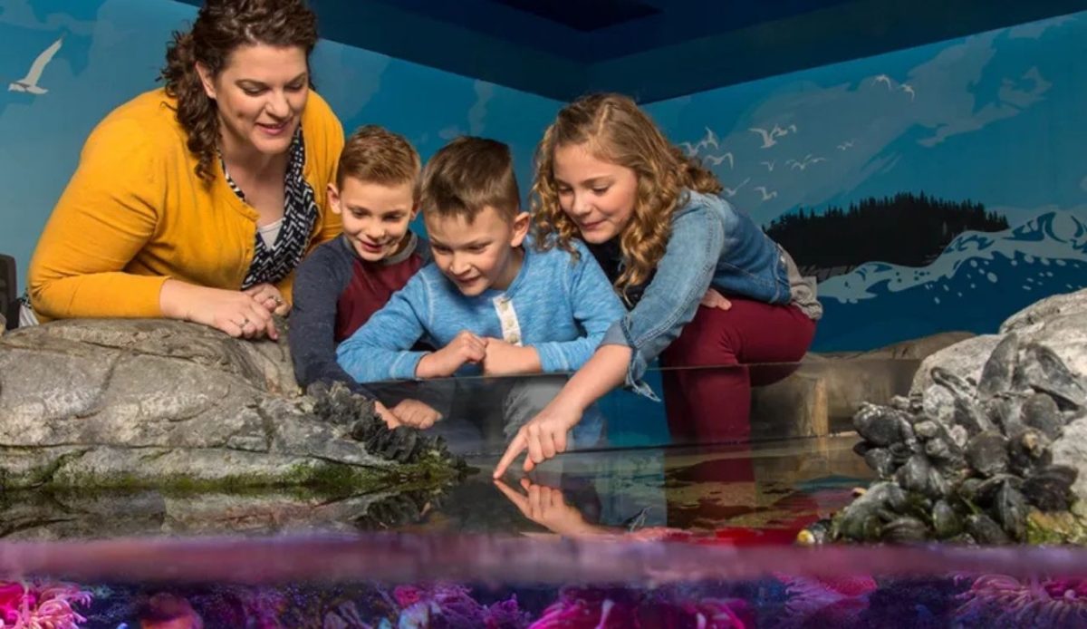 SEA LIFE Arizona                             