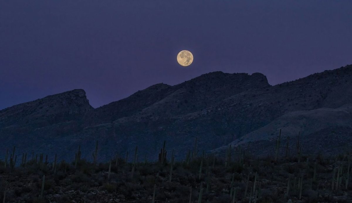 Santa Catalina Mountains, Arizona, USA    