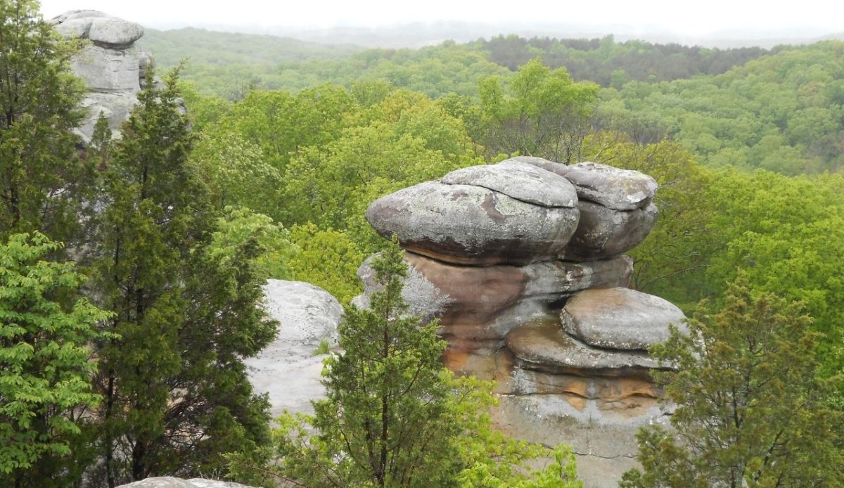 Shawnee National Forest              