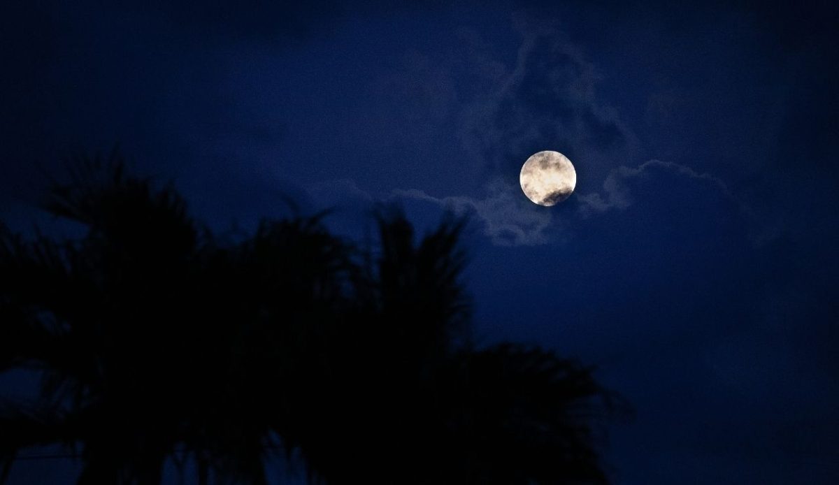 Super Full Moon April 7, 2020, the last of the year,Palmetto Bay, Florida, USA 