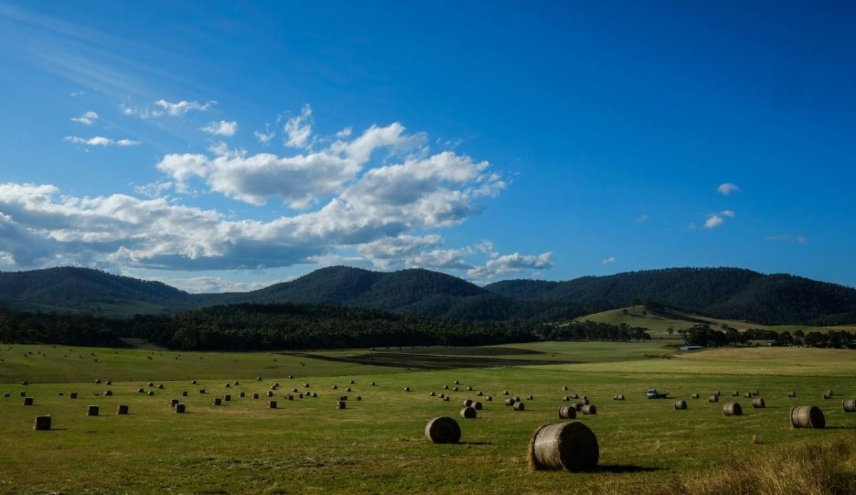 Tasmania, Australia              