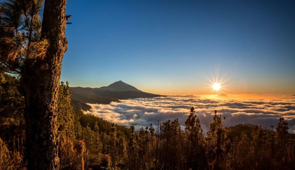 Teide, Teide National Park, Tenerife, Canary Islands, Spain            