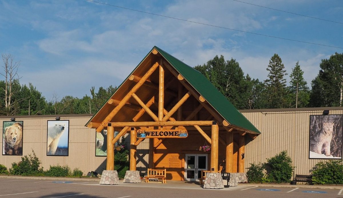The North American Bear Center in Ely, Minnesota                     