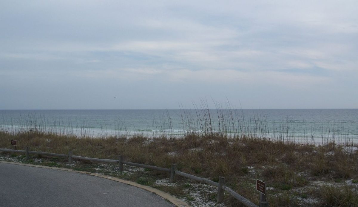 The beach at Henderson Beach State Park               