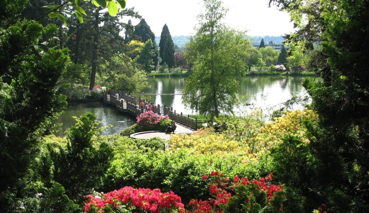The lake at the Crystal Springs Rhododendron Garden in Portland,Oregon       