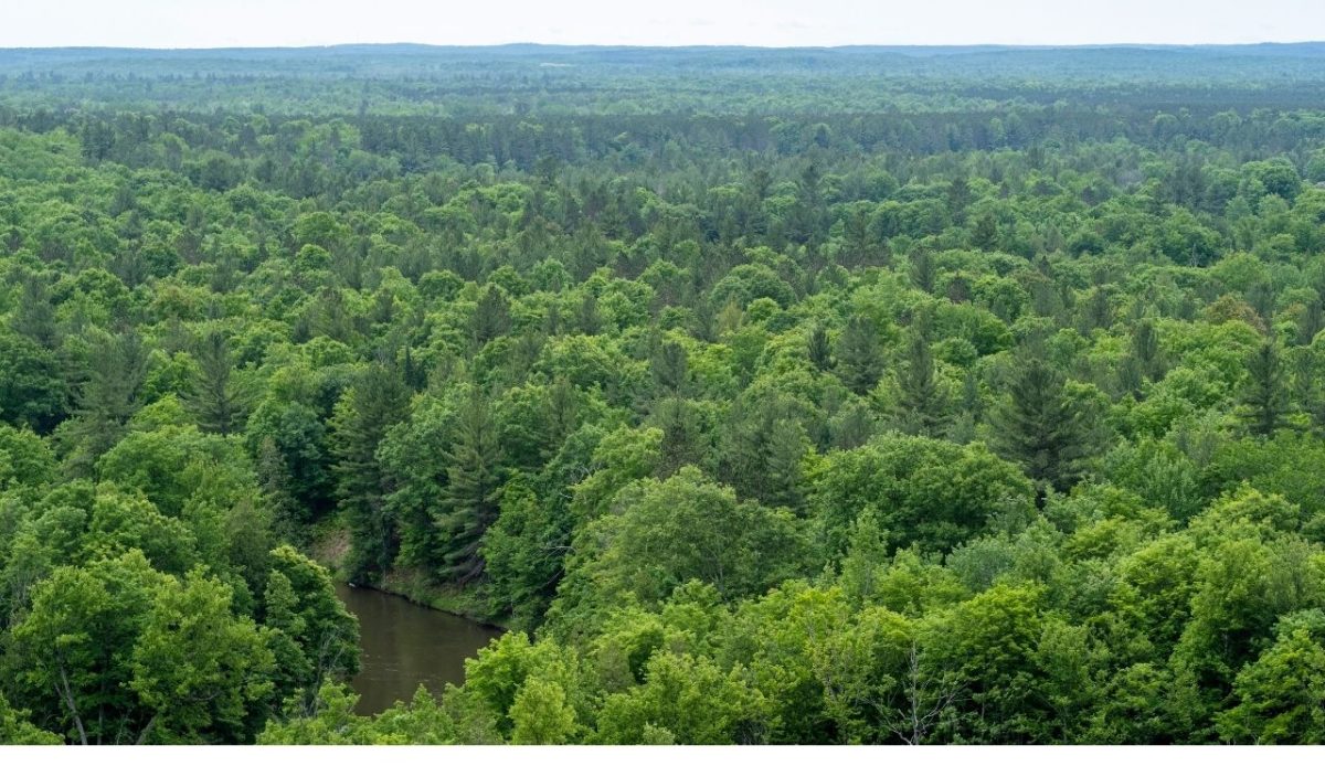 Traverse City, Michigan         