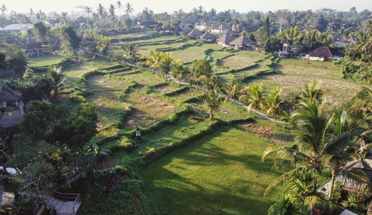 Ubud, Gianyar Regency, Bali, Indonesia                 