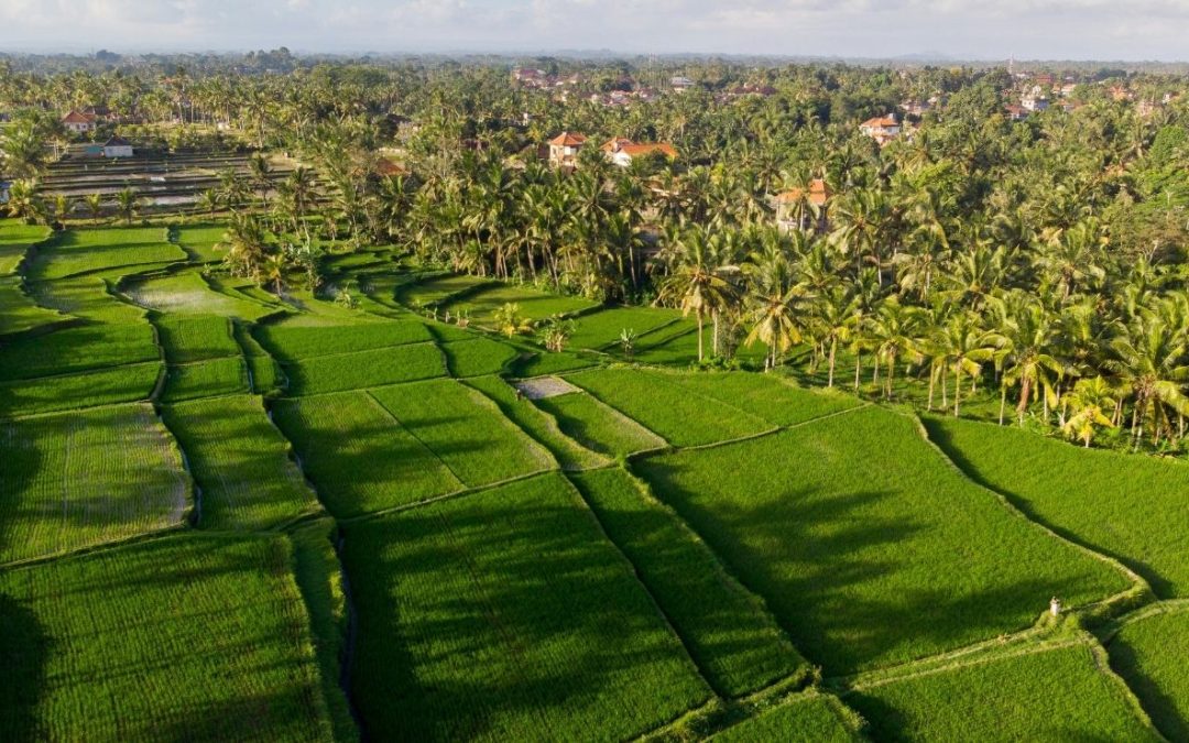 10 Charming International Towns With Thriving Expat Communities