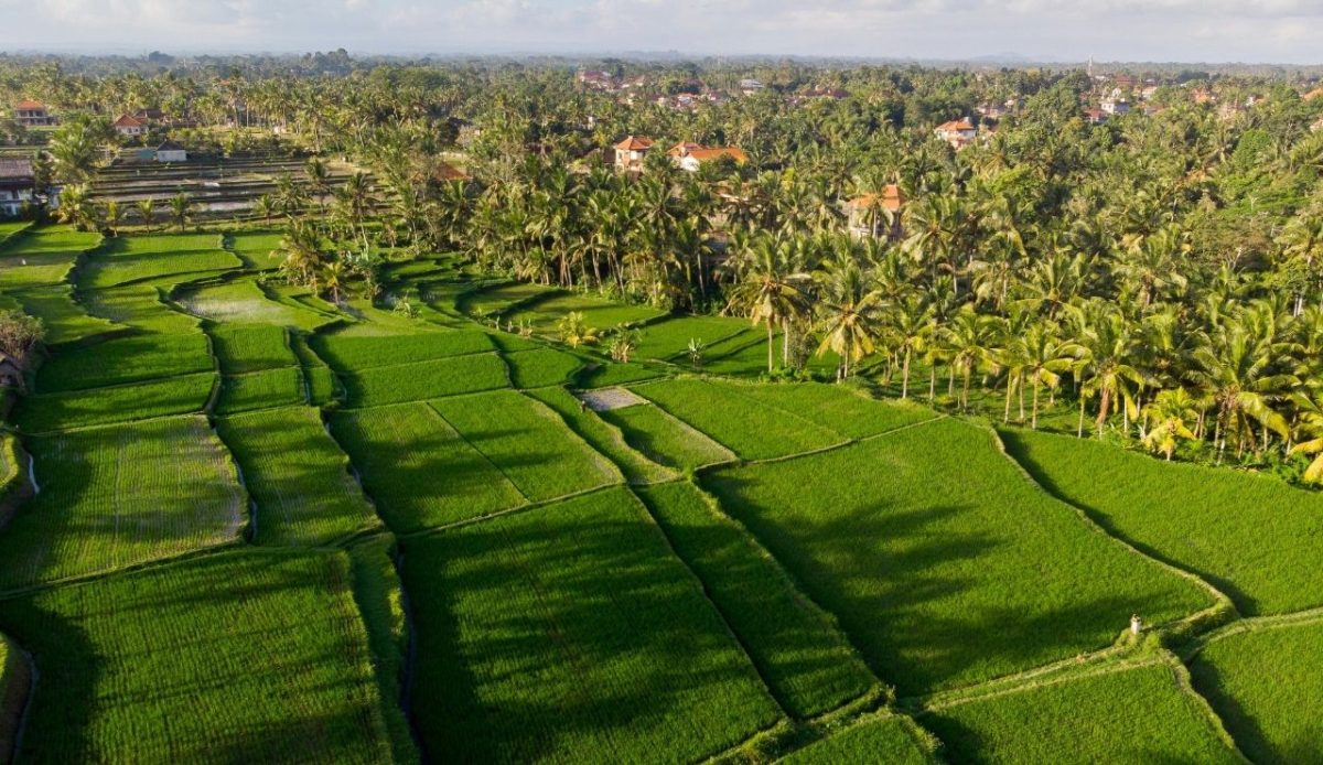 Ubud, Indonesia