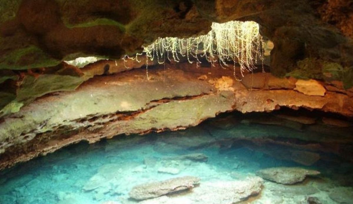 The Devil’s Den, Florida