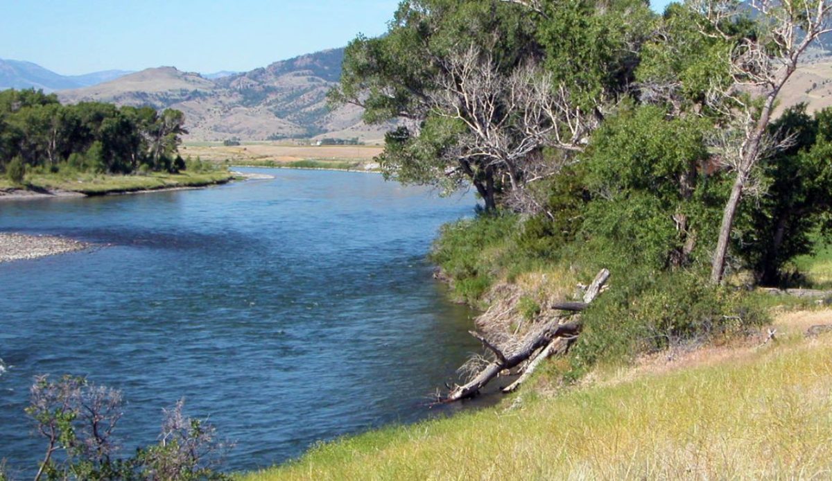 Paradise Valley Swimming Hole, Montana