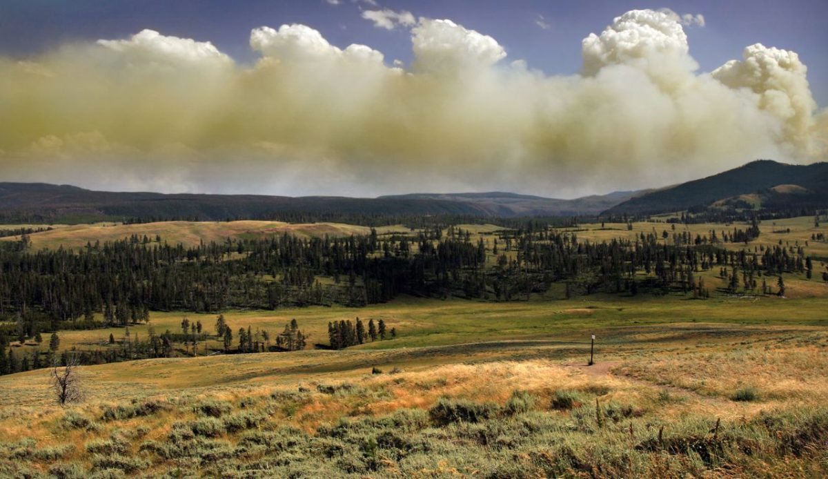 Yellowstone National Park, Wyoming